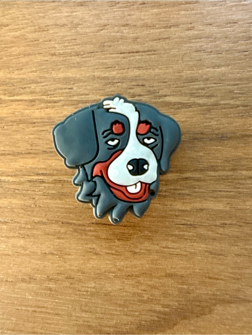 Crocs Jibbitz Bernese Mountain Dog or Bernedoodle Dog * Shoe Charm